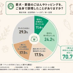 愛犬・愛猫の手作りごはん、約半数が継続断念の「調理の手間」を解決！MOFMOREが全自動フードメーカー「モフシェフ」を先行販売