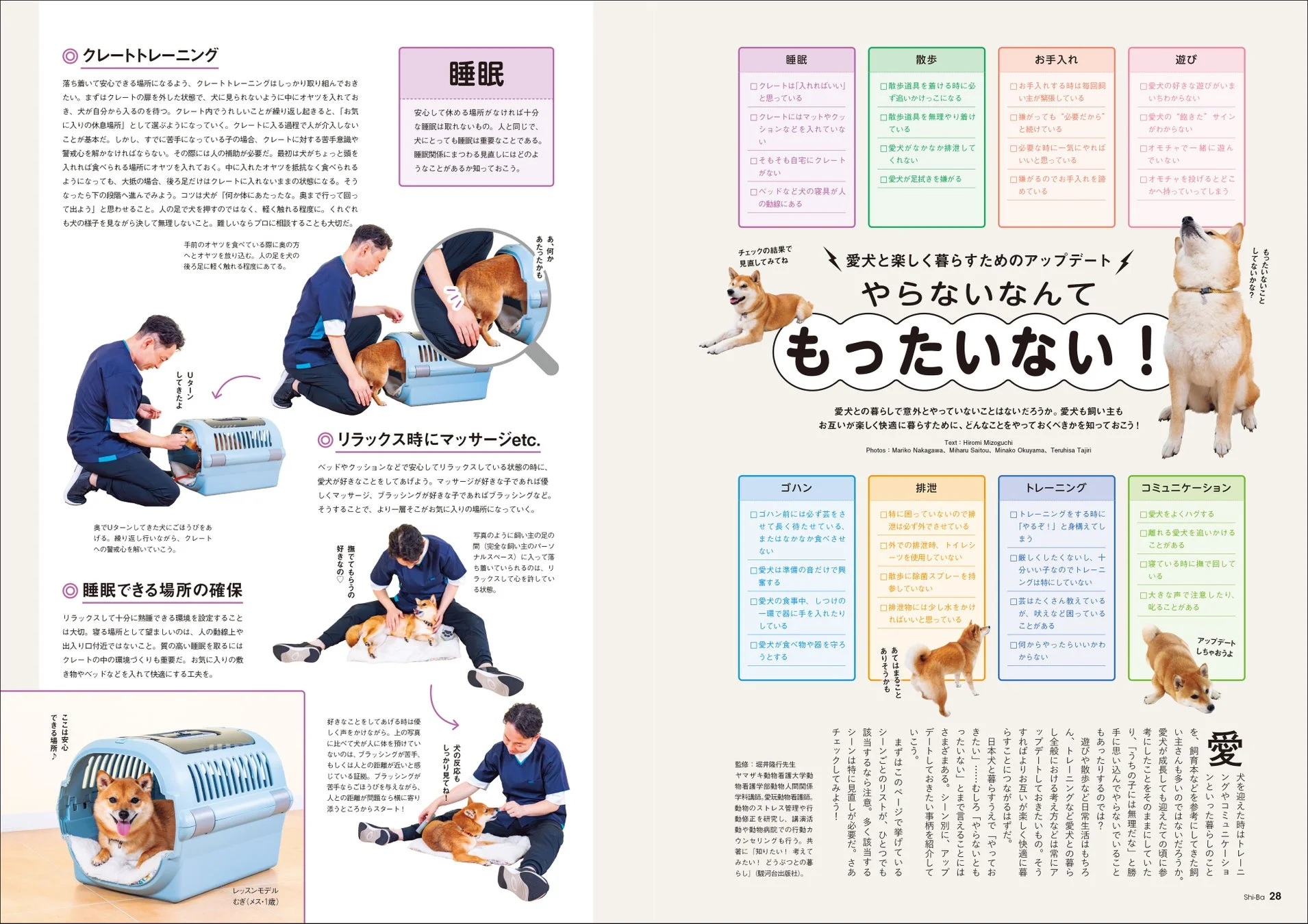 専門家が犬のしつけについて解説する様子