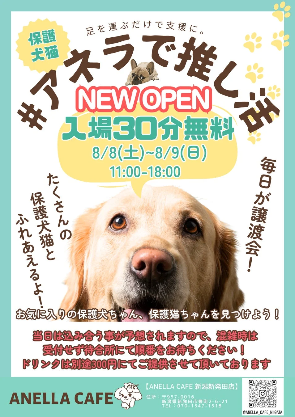オープン記念キャンペーンのポスター