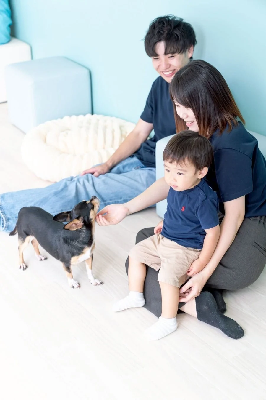 家族とチワワが触れ合う様子