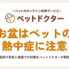 お盆期間のペットの熱中症対策：オンライン診療アプリ「ペットドクター」が受診目安と家庭ケアを解説