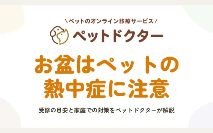 お盆期間のペットの熱中症対策：オンライン診療アプリ「ペットドクター」が受診目安と家庭ケアを解説