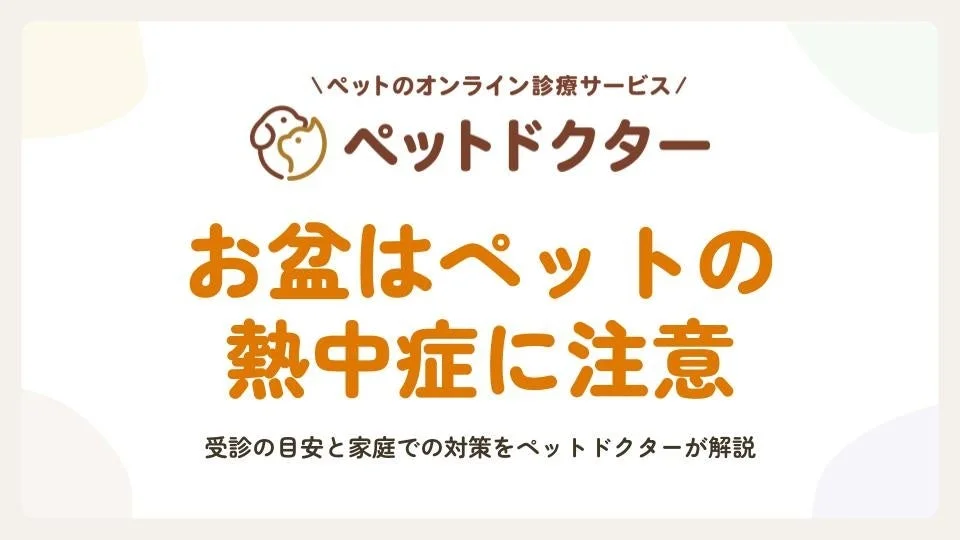 お盆期間のペットの熱中症対策：オンライン診療アプリ「ペットドクター」が受診目安と家庭ケアを解説