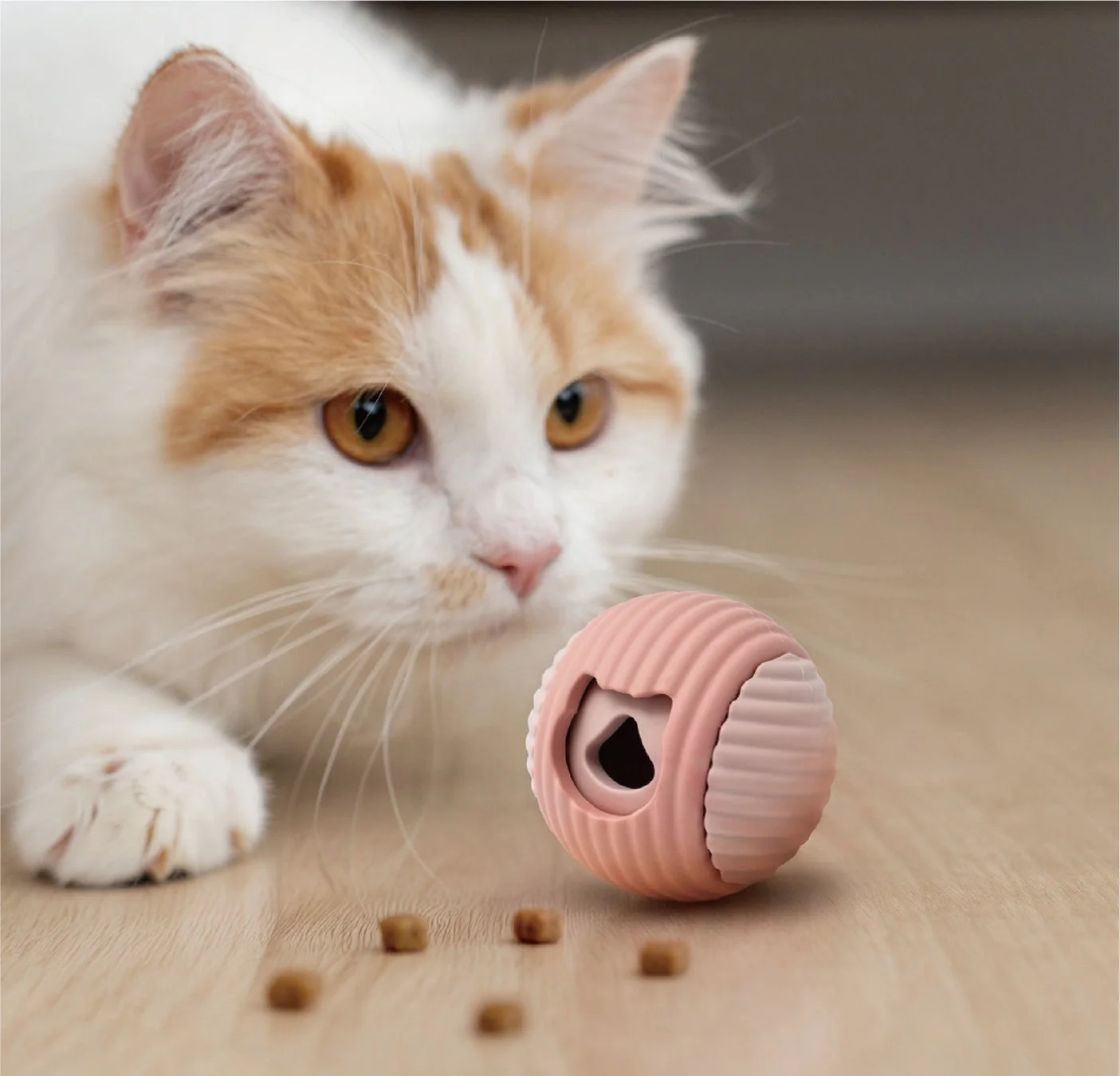 白とオレンジ色の猫が、木製の床に置かれたピンクのおやつディスペンサーボールと散らばったフードに集中している様子