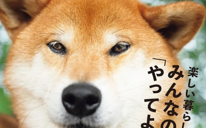 愛犬との暮らしがもっと楽しく！『Shi-Ba【シーバ】』最新号で「やってよかった」アイデア満載