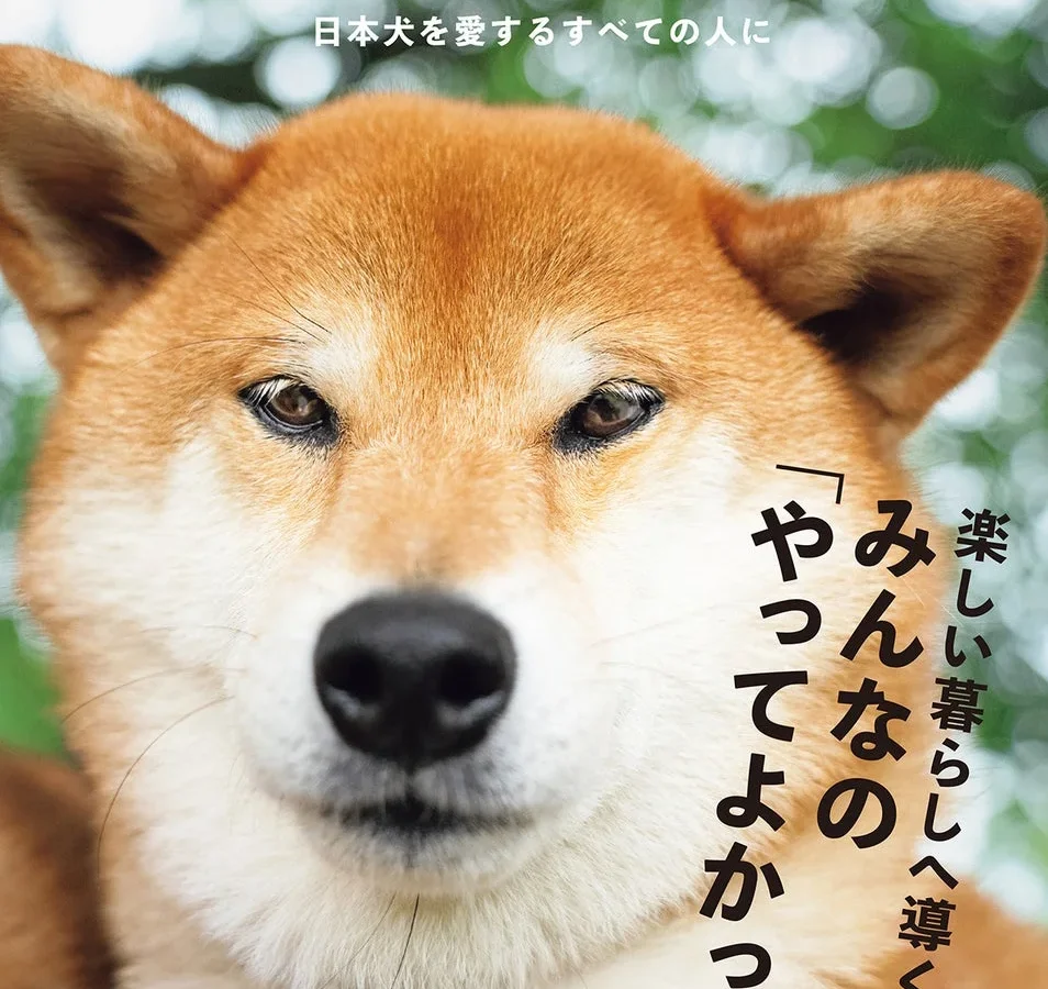 愛犬との暮らしがもっと楽しく！『Shi-Ba【シーバ】』最新号で「やってよかった」アイデア満載