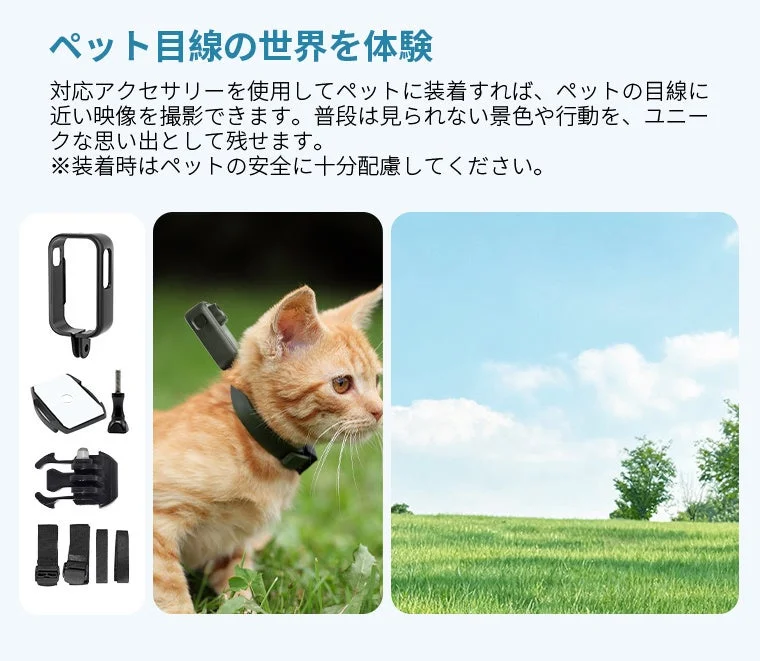 ペット目線の世界