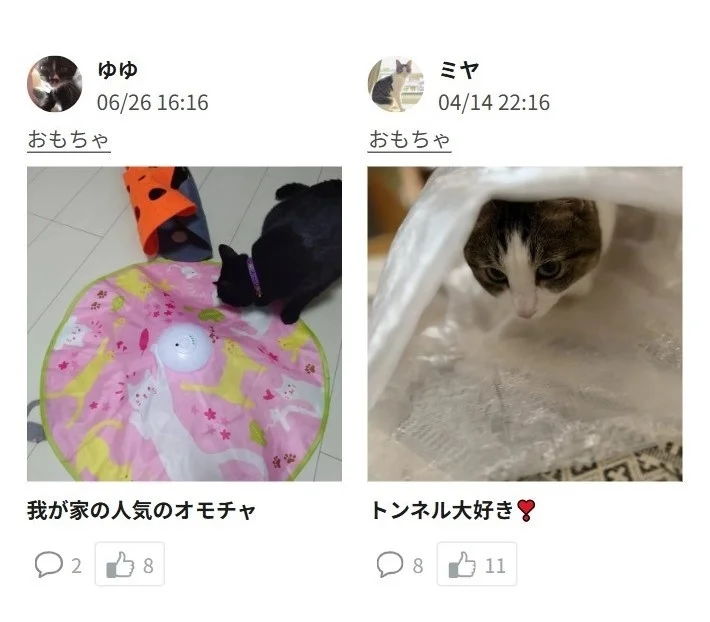 猫のおもちゃやトンネルの紹介例