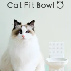 愛猫と飼い主の毎日を快適に！壁付け猫用フードボウル「Cat Fit Bowl」がMakuakeに登場