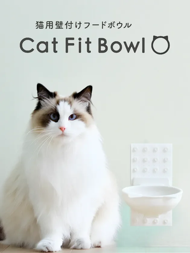 愛猫と飼い主の毎日を快適に！壁付け猫用フードボウル「Cat Fit Bowl」がMakuakeに登場