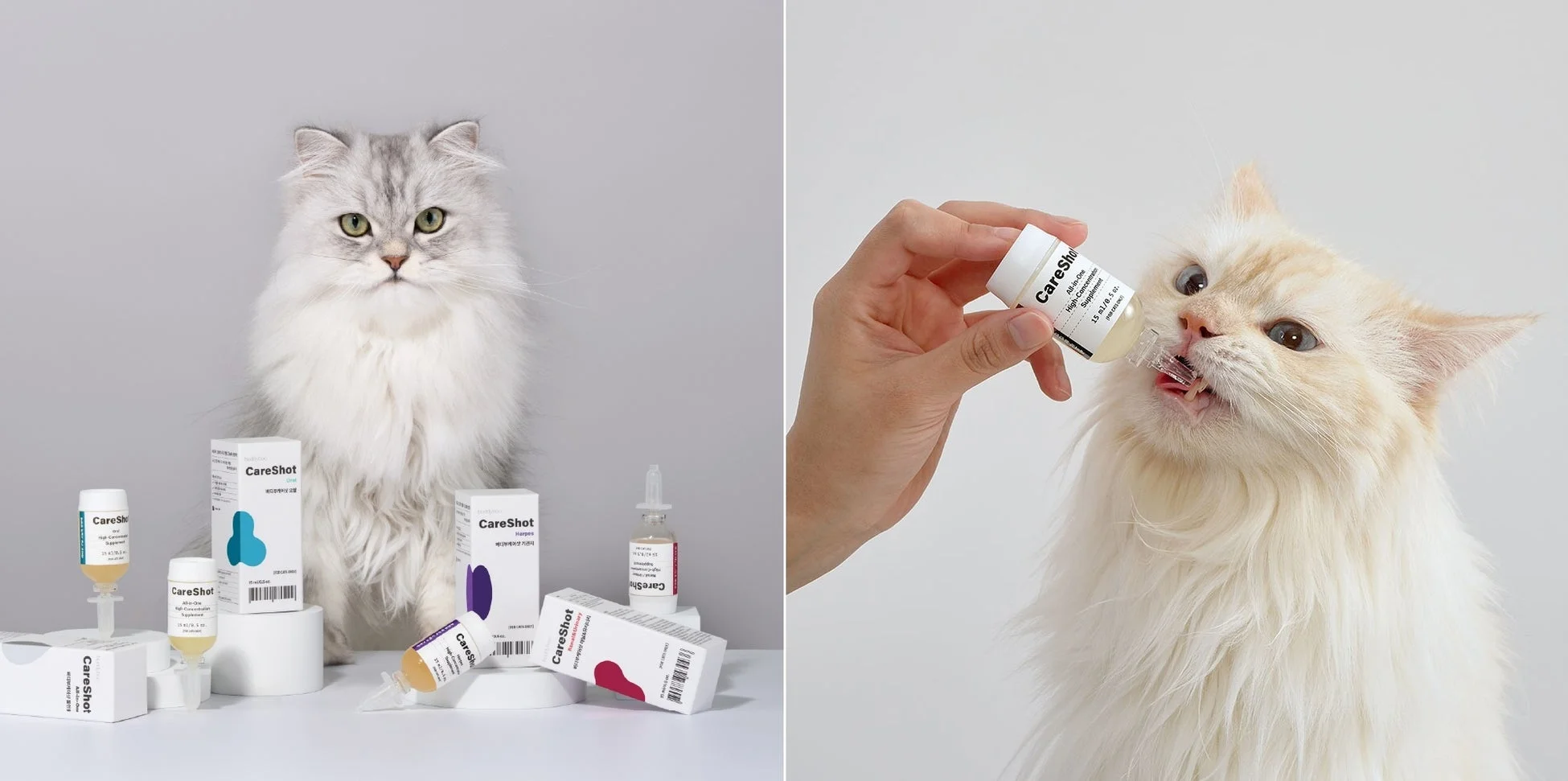 猫とCareShotサプリメント