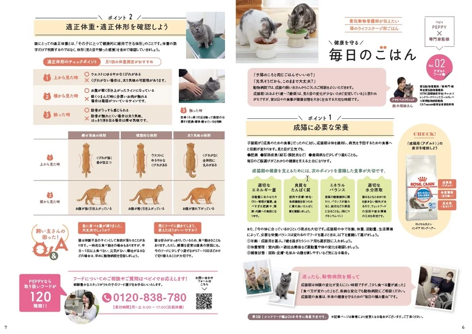 愛玩動物看護師による猫のライフステージ別フード選び