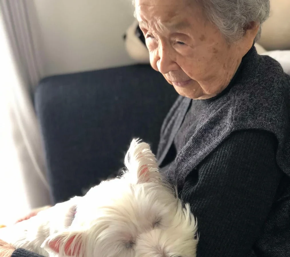 豊中市、「もしもの時も、ペットをひとりにしない」新事業開始へ クラウドファンディングで支援募集