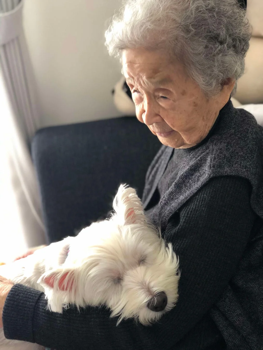 高齢の女性が白い小型犬を抱っこしている