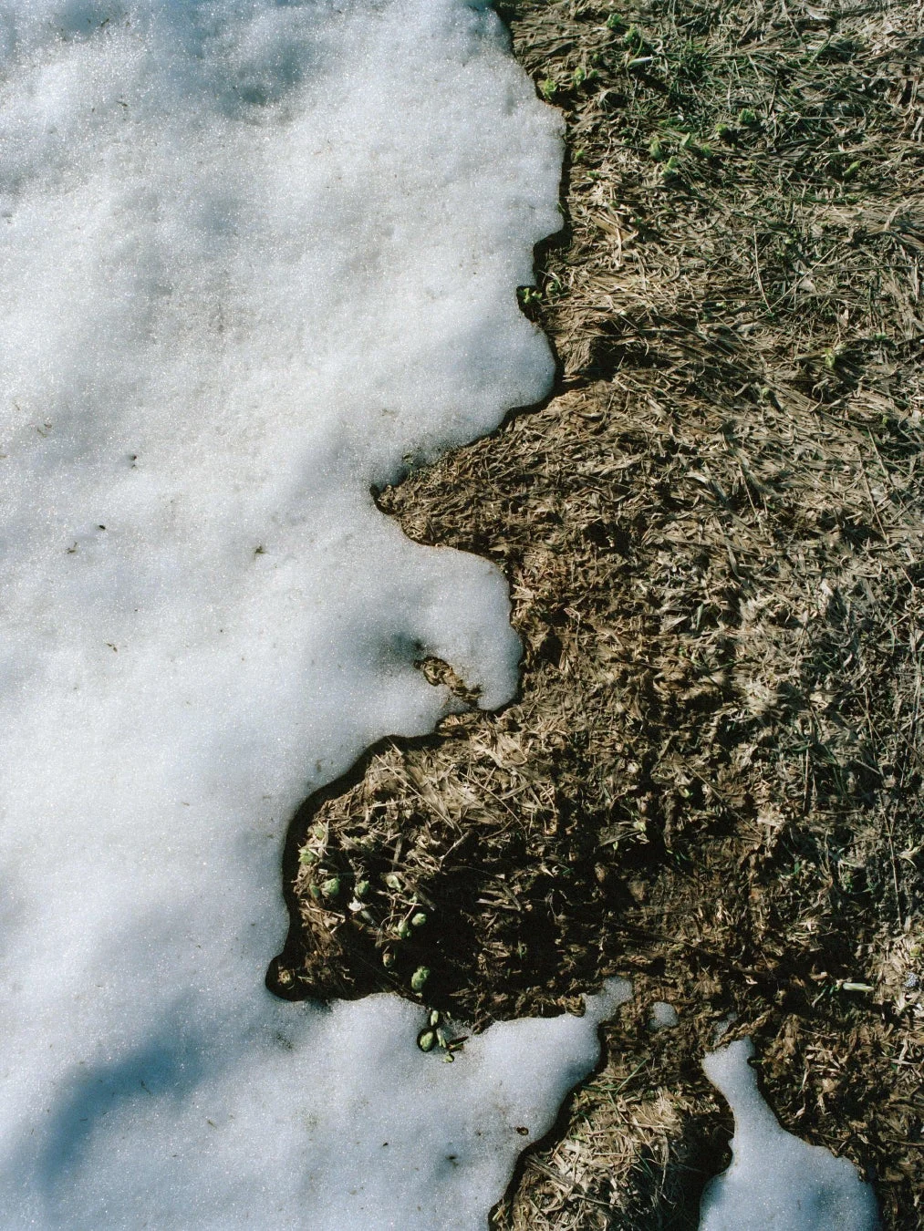 雪解けの地面