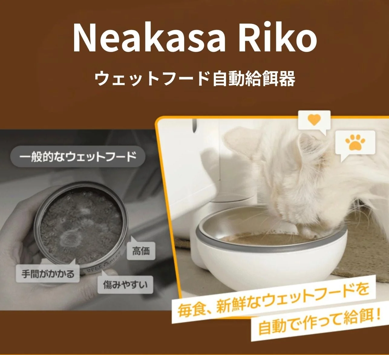 毎食、できたてのウェットフード