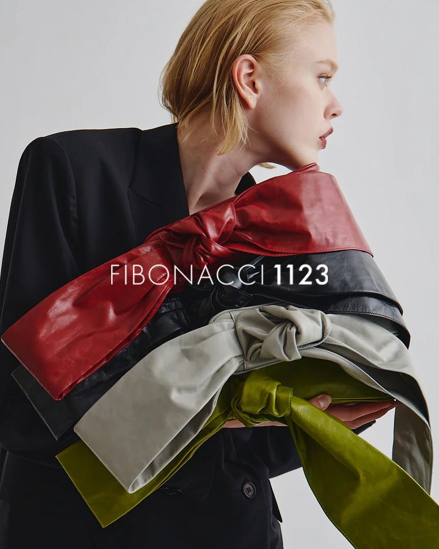 FIBONACCI 1123