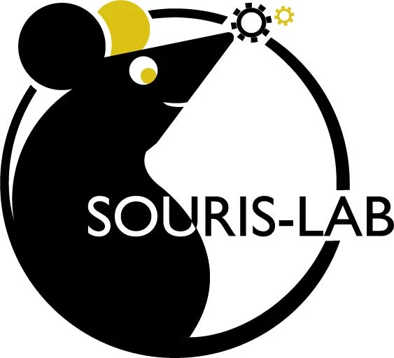 SOURIS-LABロゴ