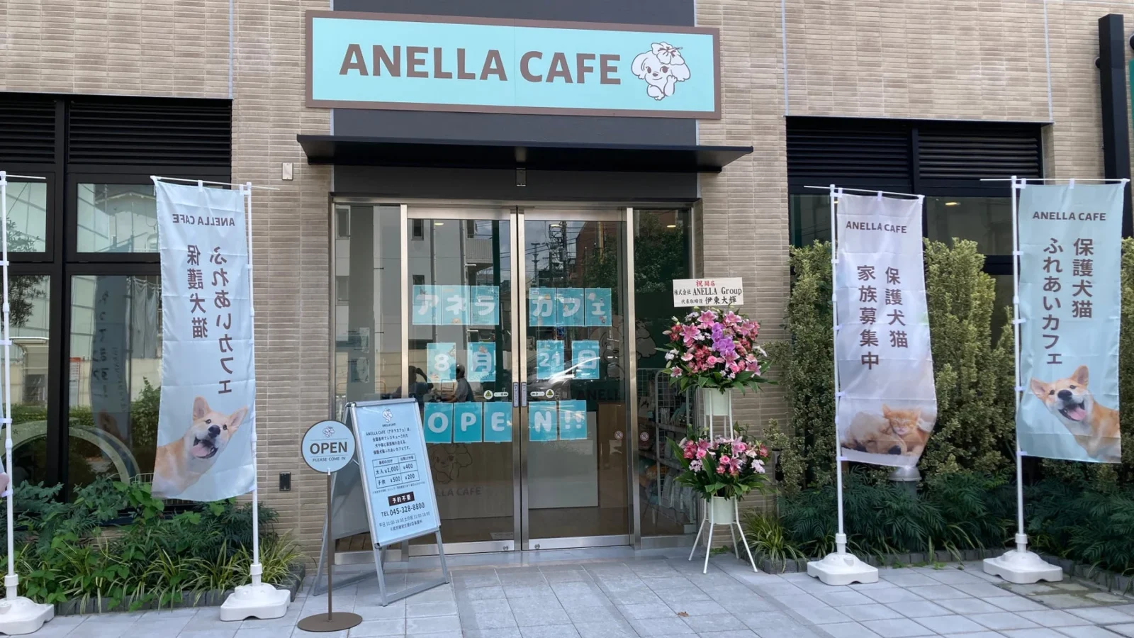 神奈川6店舗目、全国43店舗目！保護犬猫と触れ合い、福祉を支える「ANELLA CAFE 伊勢佐木町店」がオープン