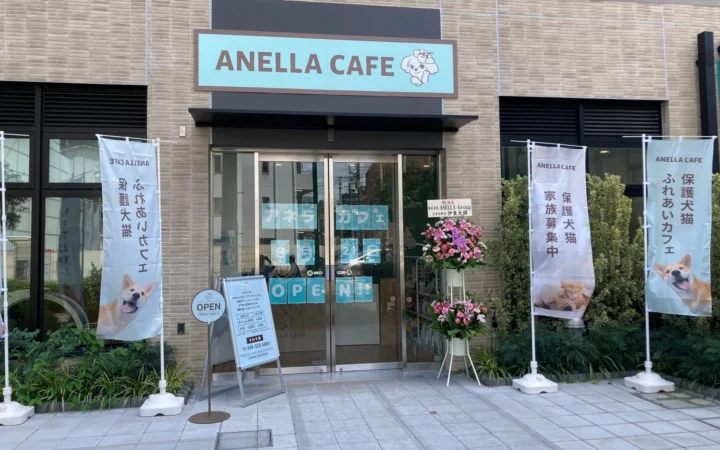 神奈川6店舗目、全国43店舗目！保護犬猫と触れ合い、福祉を支える「ANELLA CAFE 伊勢佐木町店」がオープン