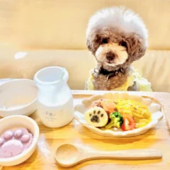 愛犬の熱中症を心配する飼い主91%！「わんことママの新小岩ベース」が夏バテ対策メニューと涼しい施設を提供開始