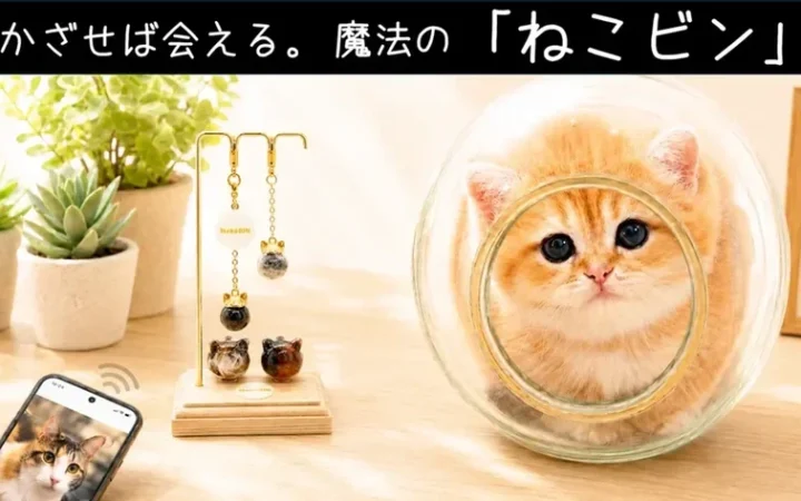 愛猫の抜け毛が蘇る思い出に！NFC技術搭載『ペット愛毛ケース ねこビン』Makuakeで先行販売開始