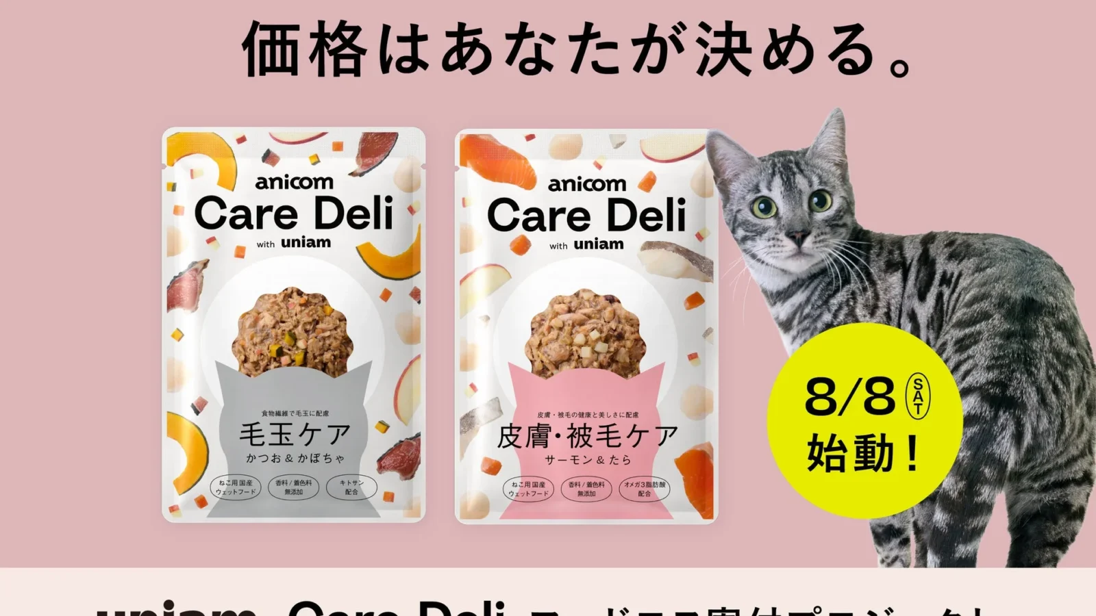 世界ねこの日に「価格はあなたが決める」プロジェクト始動！パッケージ不良のキャットフード2万袋が保護ねこ支援に