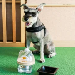 愛犬の健康に配慮した新サービス始動！「くにさき 森と海のドッグリゾート」全客室に犬用浄軟水器を導入