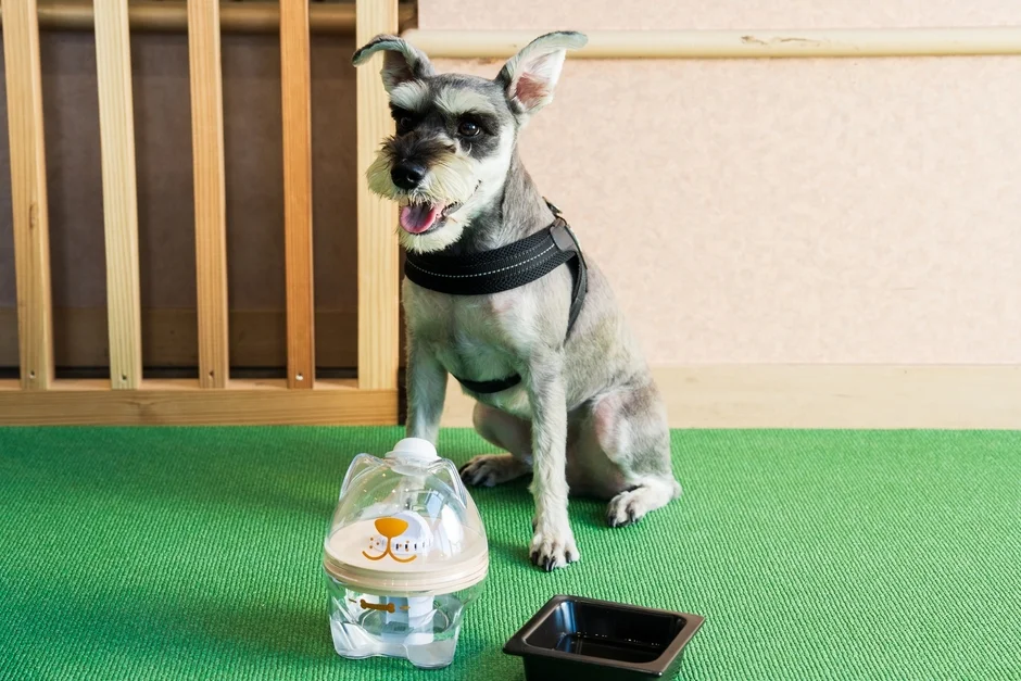 愛犬の健康に配慮した新サービス始動！「くにさき 森と海のドッグリゾート」全客室に犬用浄軟水器を導入