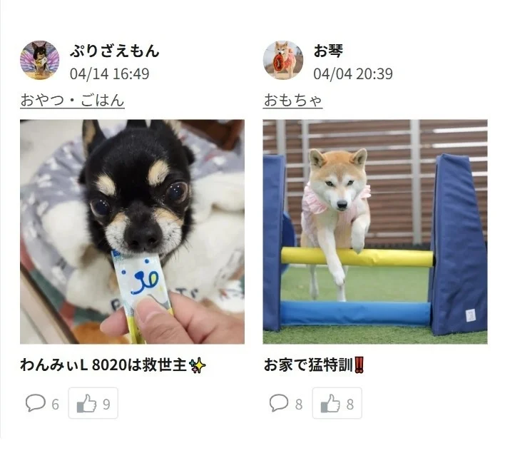 犬のおやつやトレーニング用品の紹介例