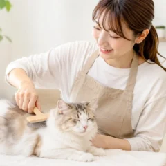 累計訪問3万件の「ホームトリマー」が猫専門の訪問グルーミングを開始！キャリー不要で自宅で安心ケア