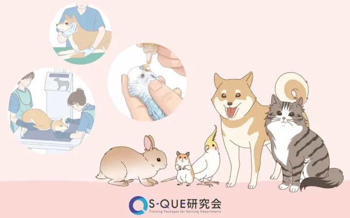 「S-QUE愛玩動物看護ラダー別研修」にエキゾチックアニマル学が新設、動物薬理学も強化