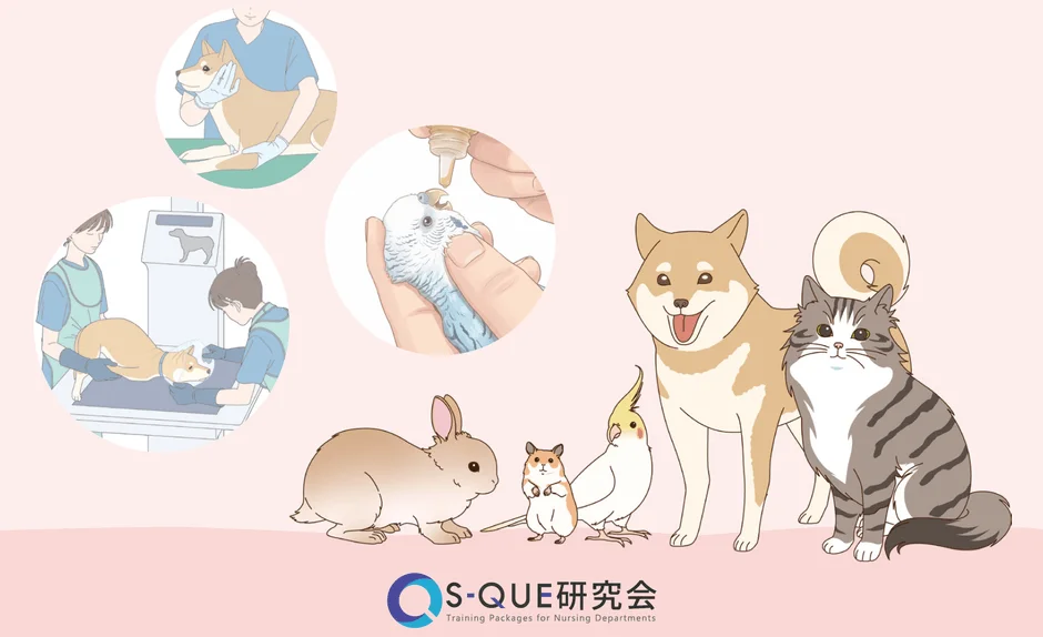「S-QUE愛玩動物看護ラダー別研修」にエキゾチックアニマル学が新設、動物薬理学も強化