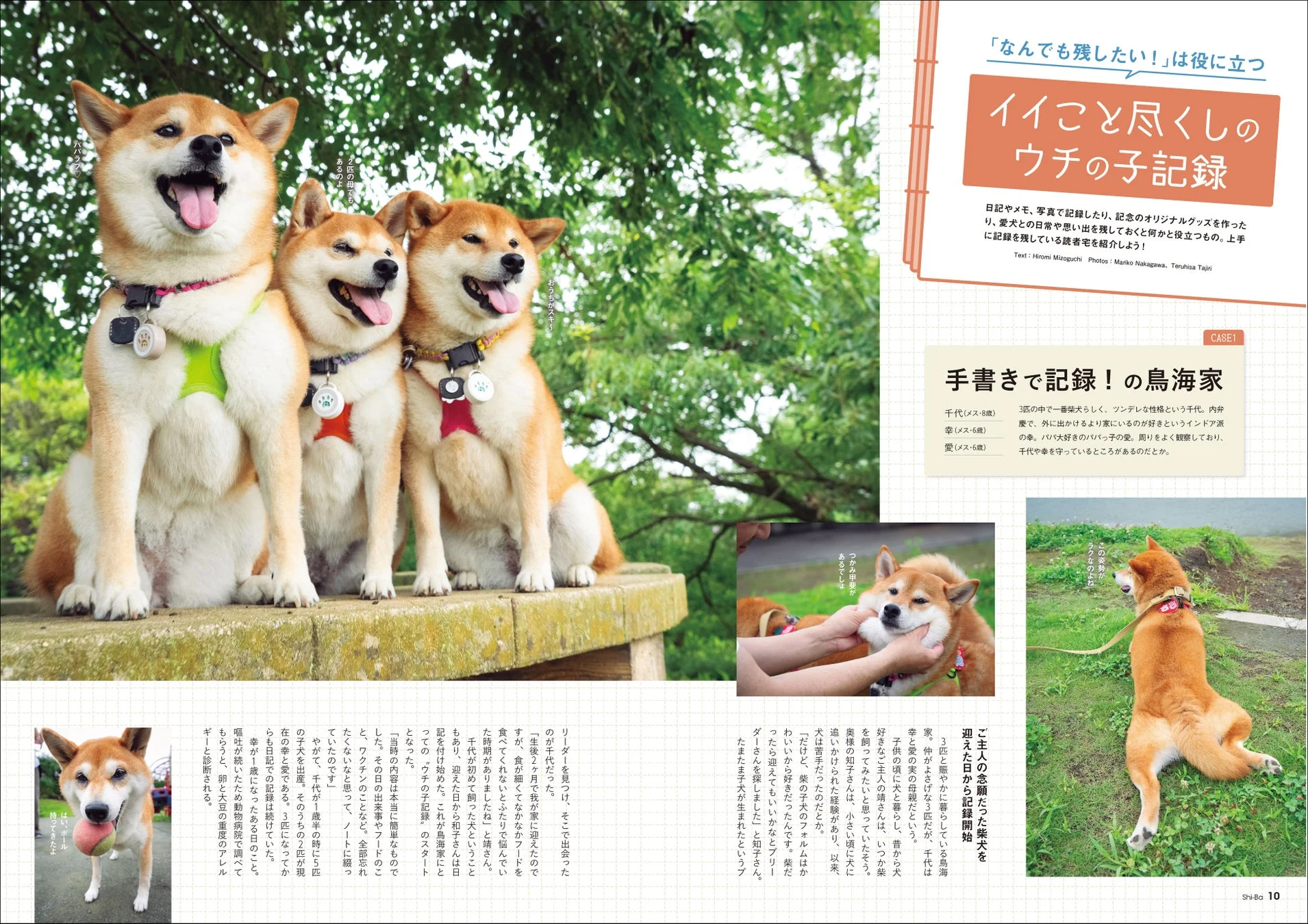 愛犬の記録を綴る飼い主の様子