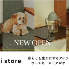 ウェスキー株式会社が公式オンラインストア「weskiii store」をオープン！世界各国のライフスタイルアイテムと物語を届ける