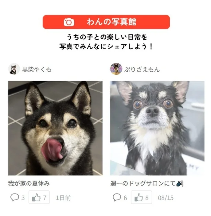 犬の写真を共有する「わんにゃん写真館」の画面例
