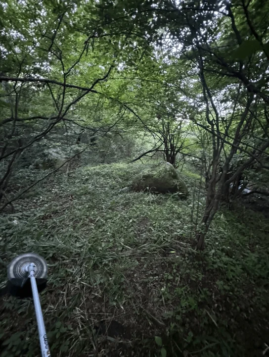 草刈り機で作業する様子