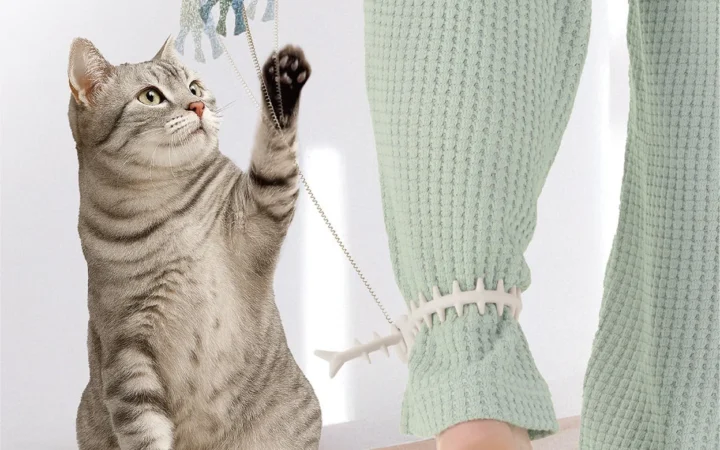 忙しい飼い主必見！猫との絆を深める新おもちゃ「ニャーオ」発売前モニターキャンペーン