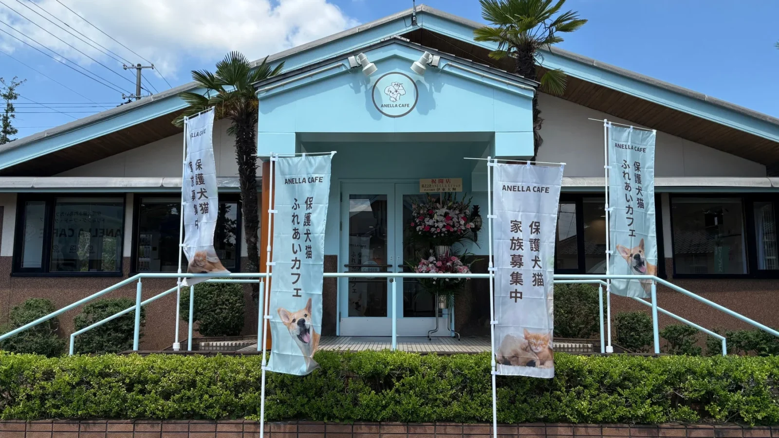 新潟県初上陸！保護犬猫と心通う「ANELLA CAFE」が新発田市にオープン、障がいを持つ方の就労支援も