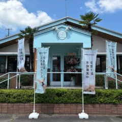 新潟県初上陸！保護犬猫と心通う「ANELLA CAFE」が新発田市にオープン、障がいを持つ方の就労支援も