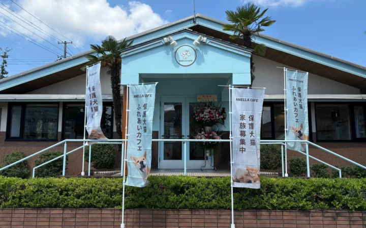 新潟県初上陸！保護犬猫と心通う「ANELLA CAFE」が新発田市にオープン、障がいを持つ方の就労支援も