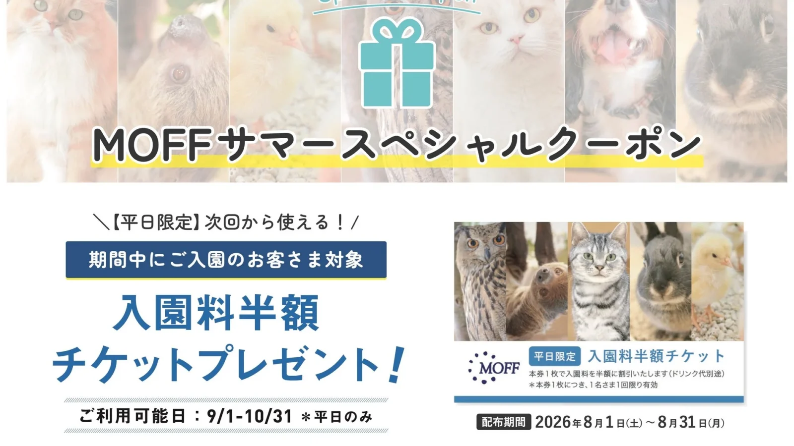 MOFFが夏休み限定「次回入園半額クーポン」配布と「ふれあい観察ノート」を新発売