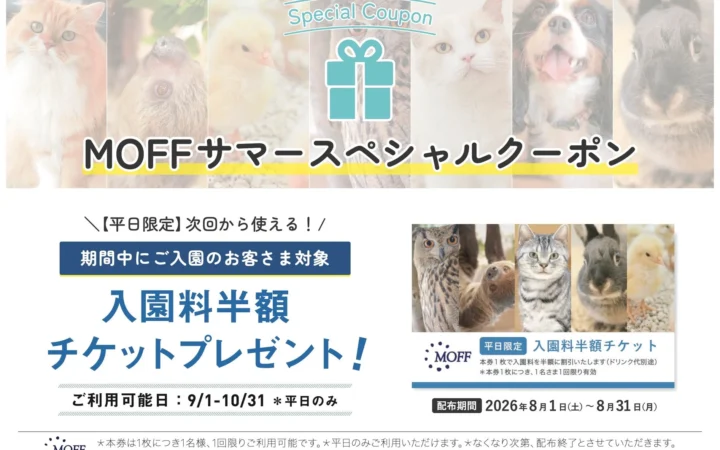 MOFFが夏休み限定「次回入園半額クーポン」配布と「ふれあい観察ノート」を新発売