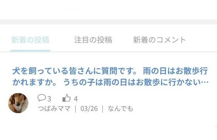 犬の散歩に関する相談の投稿例