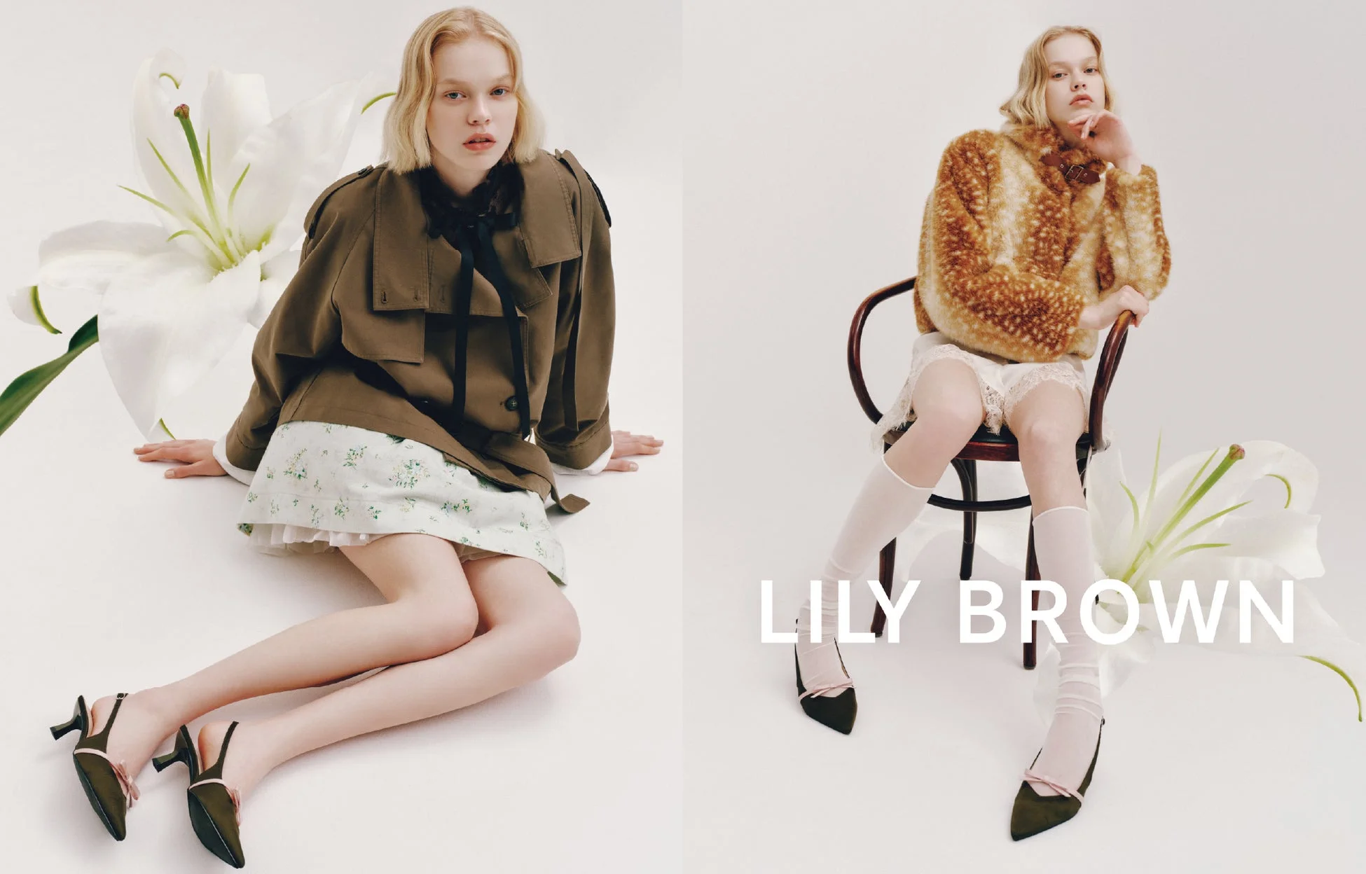 LILY BROWNブランド紹介