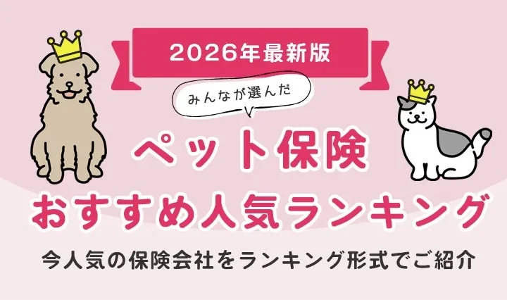 【2026年8月最新版】ペット保険人気ランキングTOP5発表！あなたの愛するペットに最適な保険は？