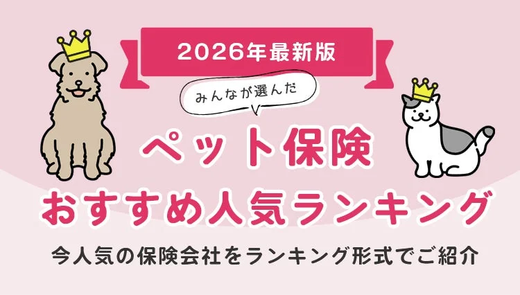 【2026年8月最新版】ペット保険人気ランキングTOP5発表！あなたの愛するペットに最適な保険は？