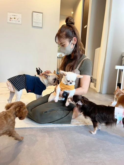 カフェで犬とふれあう女性