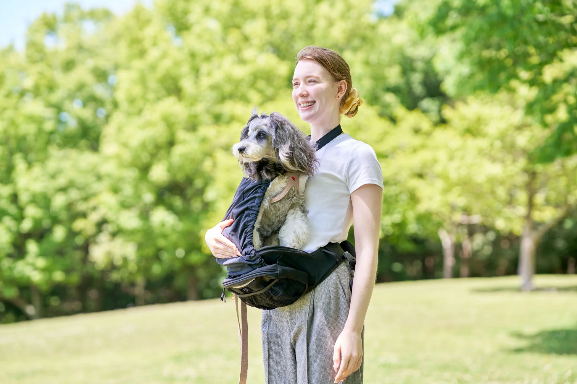 公園で愛犬を抱っこ紐に入れる女性