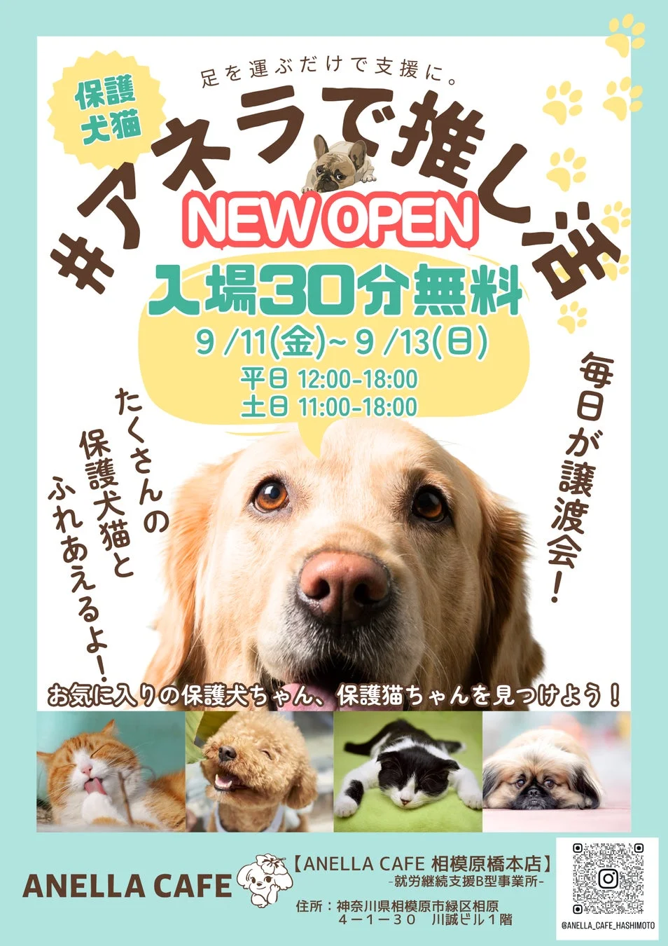 オープンキャンペーン告知ポスター